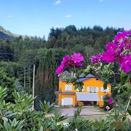 Gite Forestier Du Moulin Raon-sur-Plaine Esterno foto