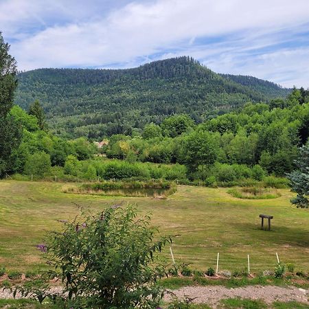 Gite Forestier Du Moulin Raon-sur-Plaine Esterno foto