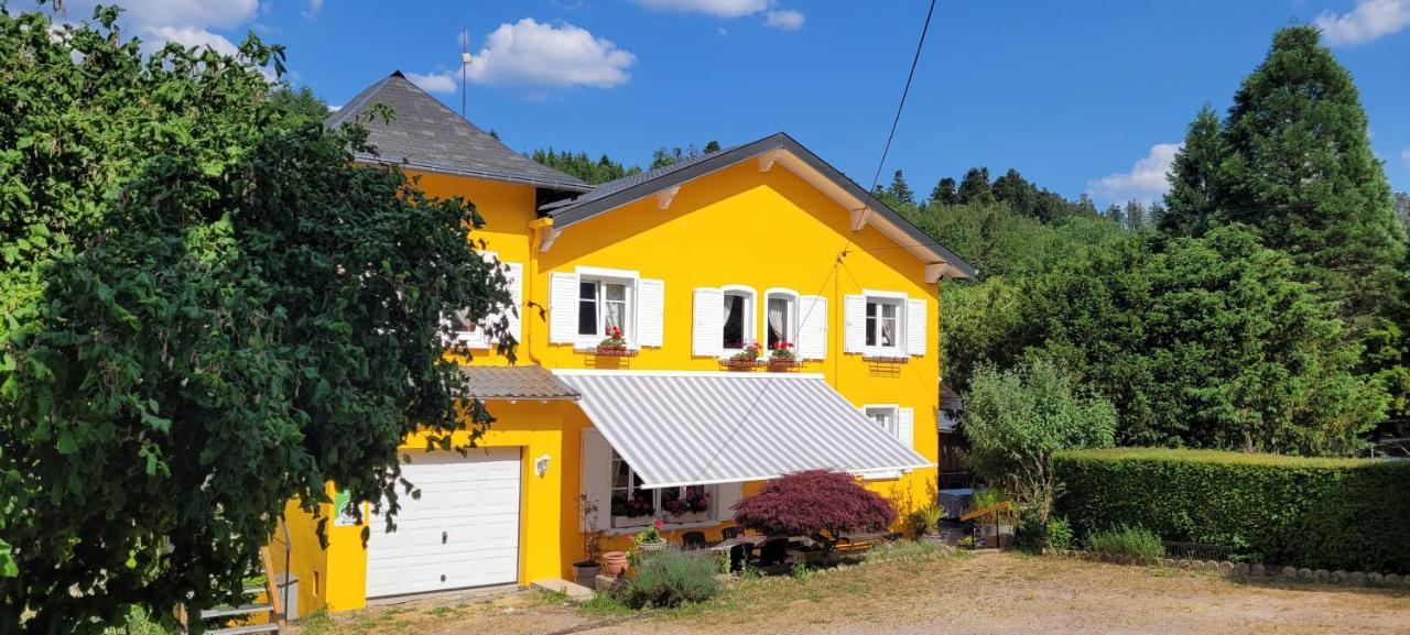 Gite Forestier Du Moulin Raon-sur-Plaine Esterno foto