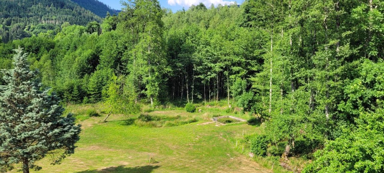 Gite Forestier Du Moulin Raon-sur-Plaine Esterno foto