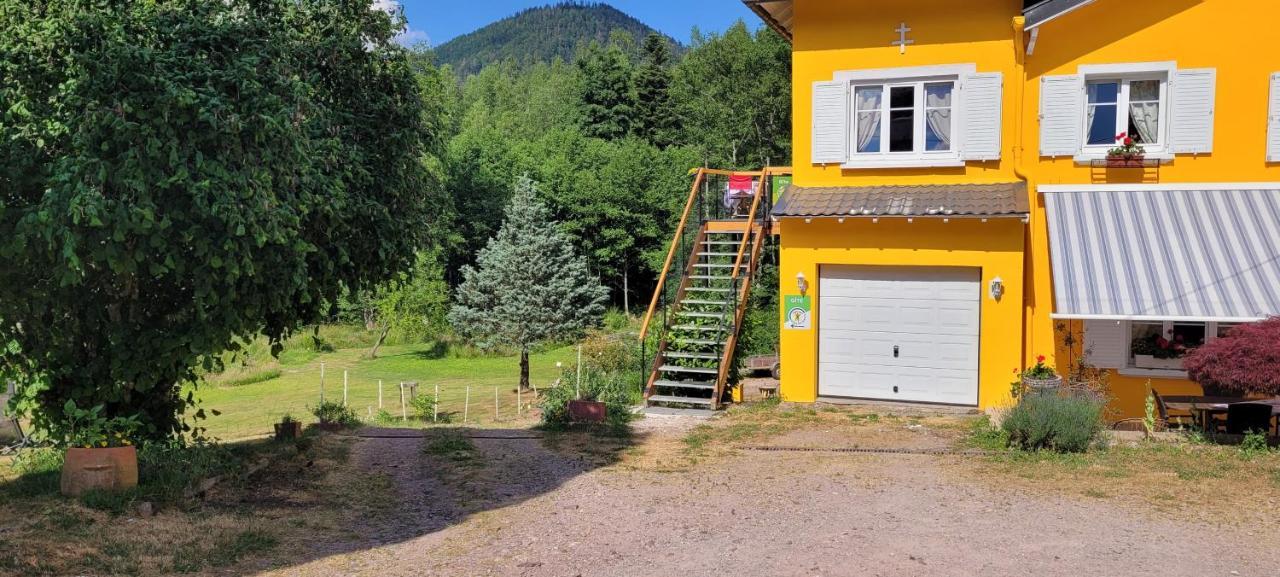 Gite Forestier Du Moulin Raon-sur-Plaine Esterno foto