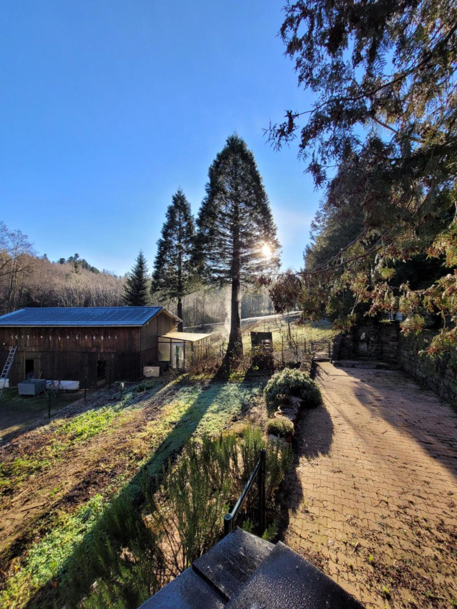 Gite Forestier Du Moulin Raon-sur-Plaine Esterno foto