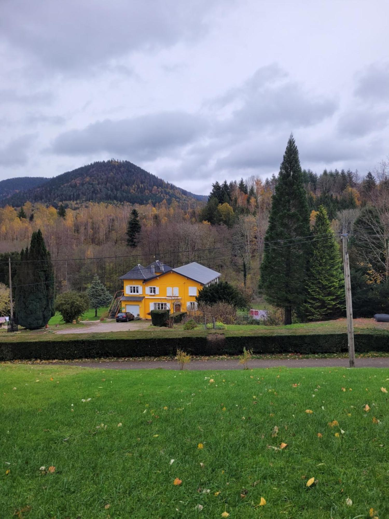 Gite Forestier Du Moulin Raon-sur-Plaine Esterno foto