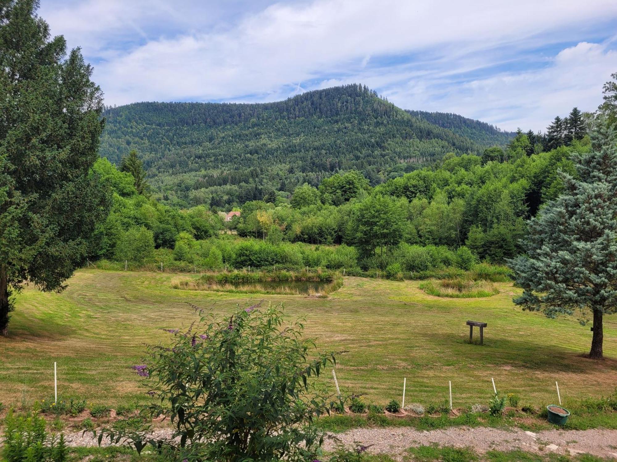 Gite Forestier Du Moulin Raon-sur-Plaine Esterno foto