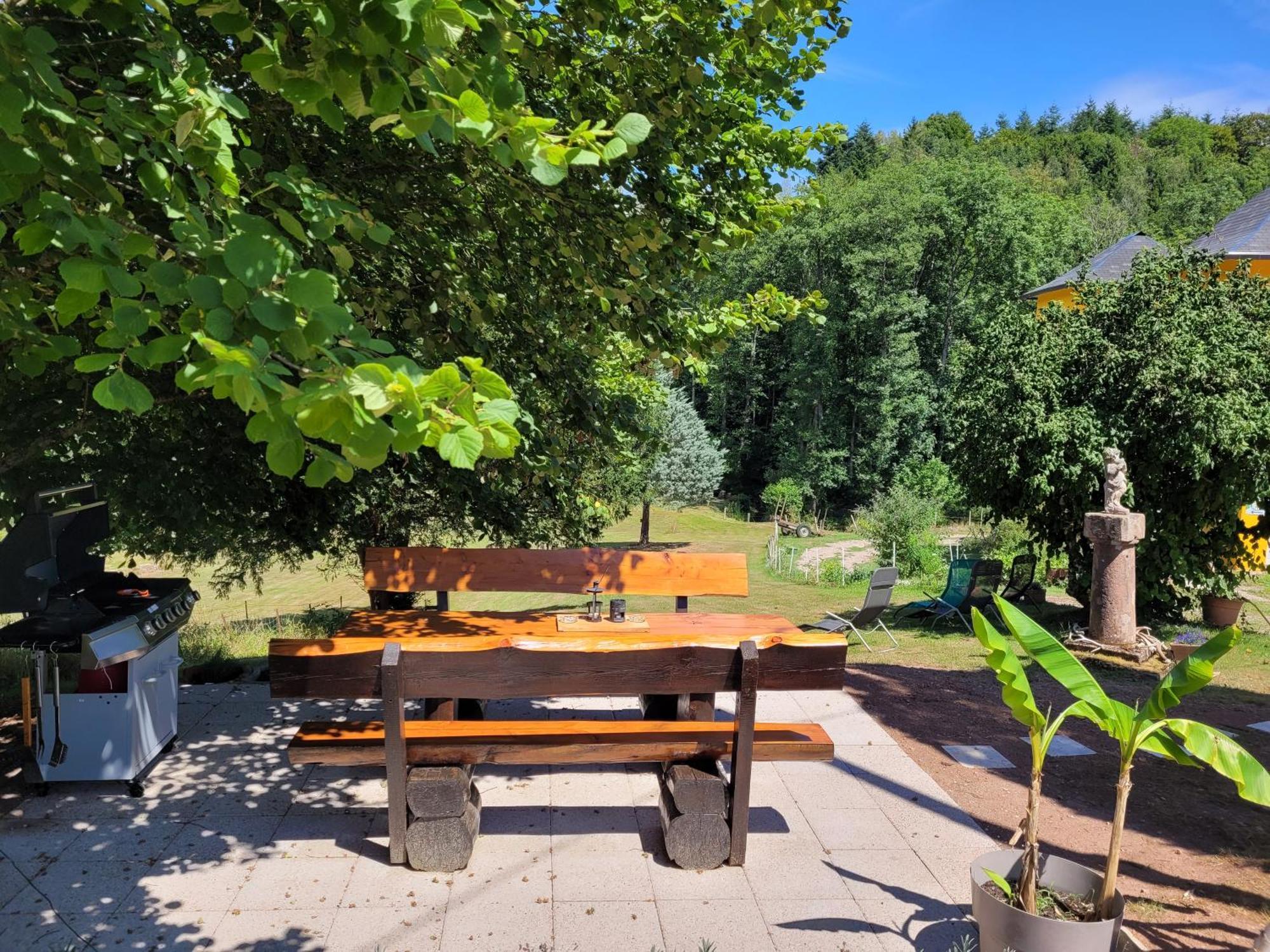 Gite Forestier Du Moulin Raon-sur-Plaine Esterno foto