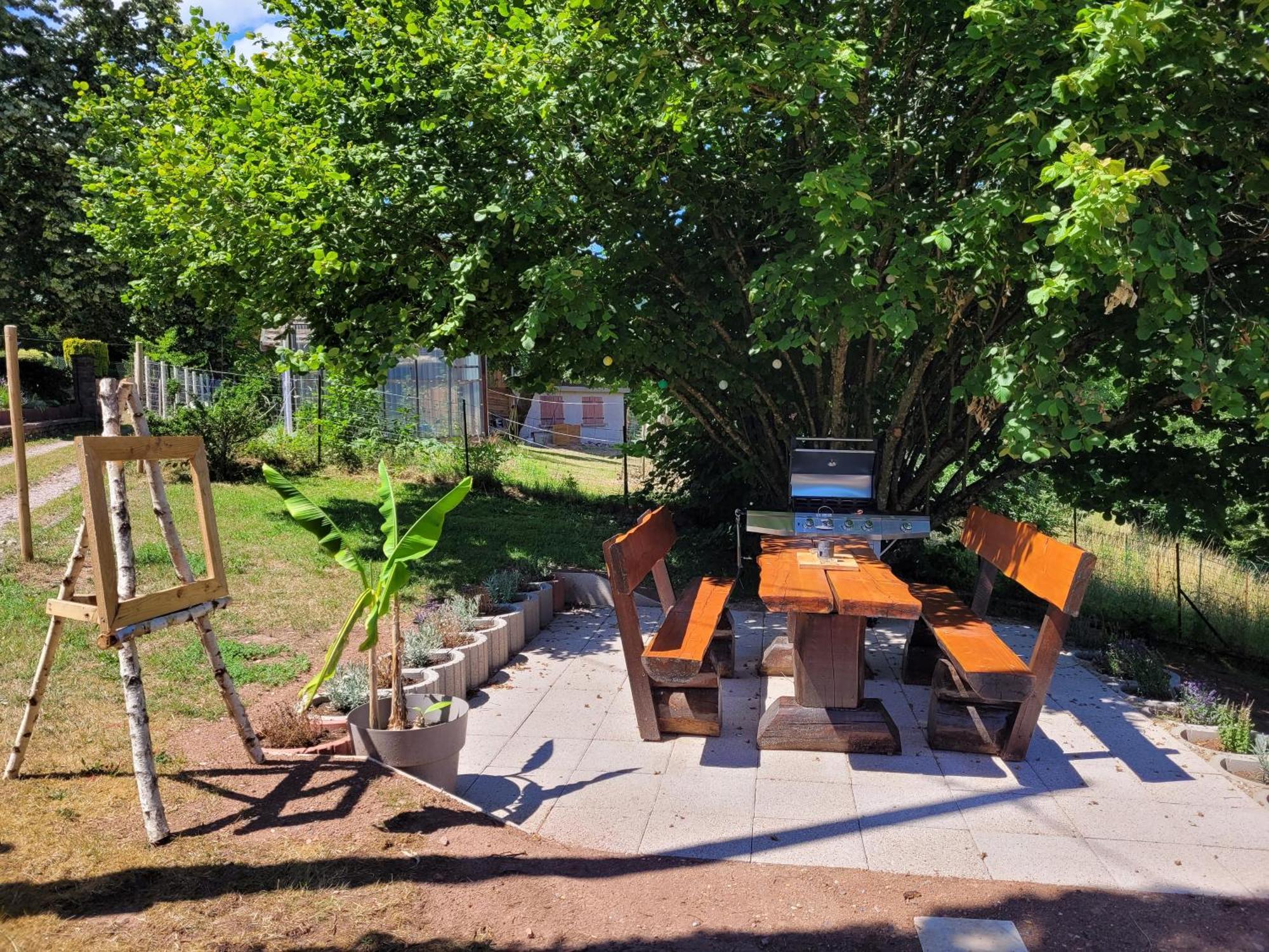 Gite Forestier Du Moulin Raon-sur-Plaine Esterno foto