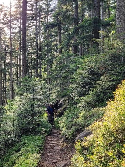 Gite Forestier Du Moulin Raon-sur-Plaine Esterno foto