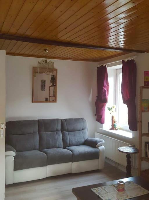 Gite Forestier Du Moulin Raon-sur-Plaine Esterno foto