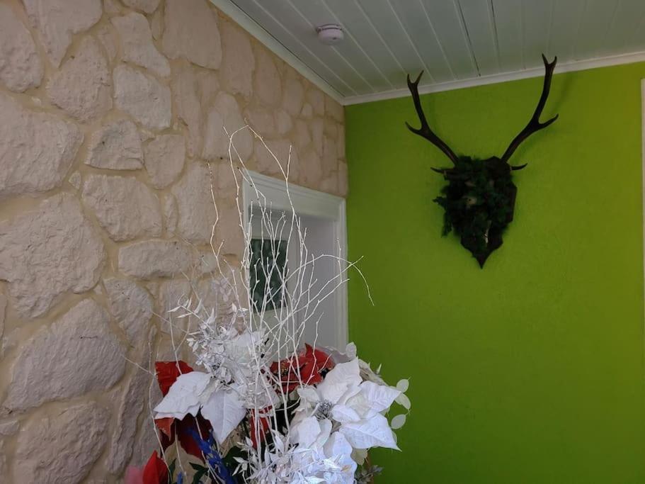 Gite Forestier Du Moulin Raon-sur-Plaine Esterno foto