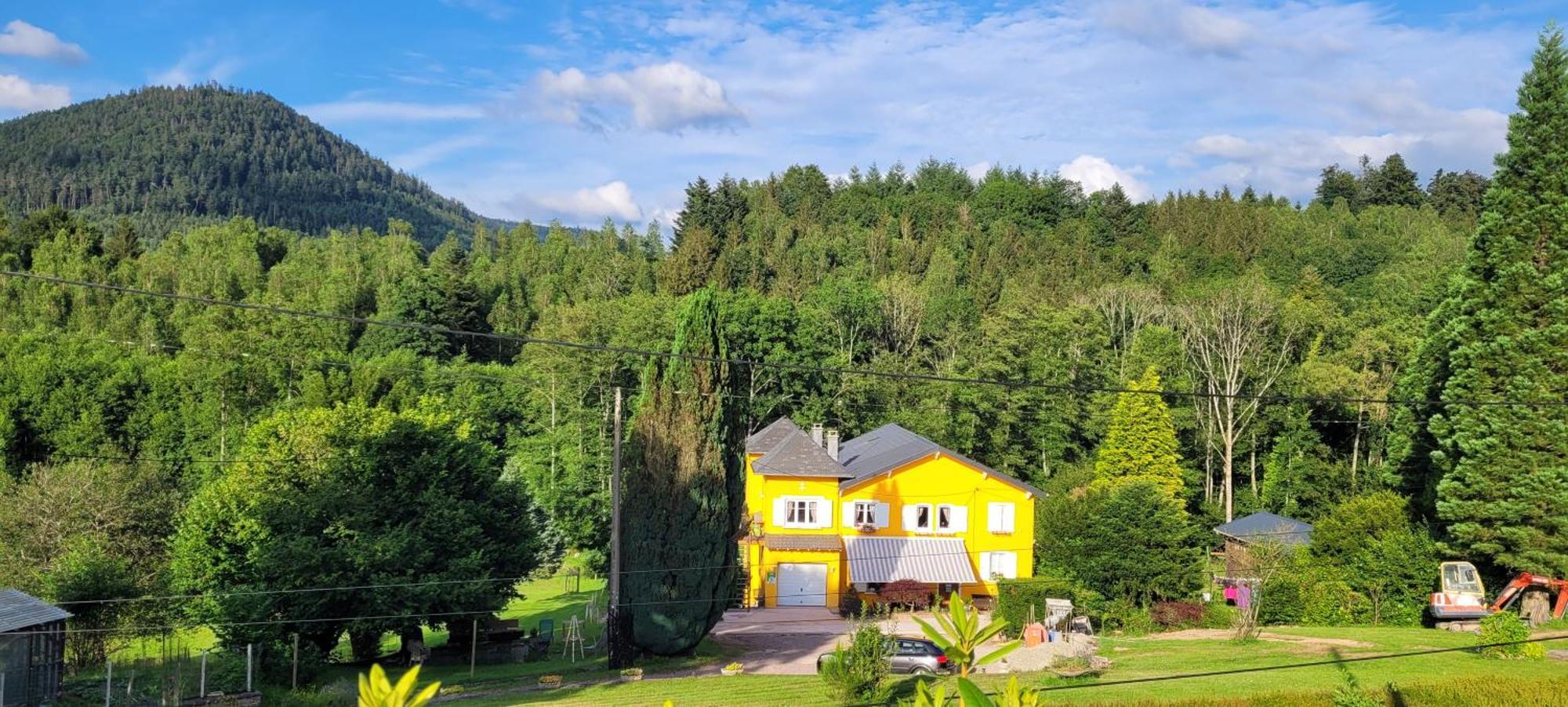 Gite Forestier Du Moulin Raon-sur-Plaine Esterno foto