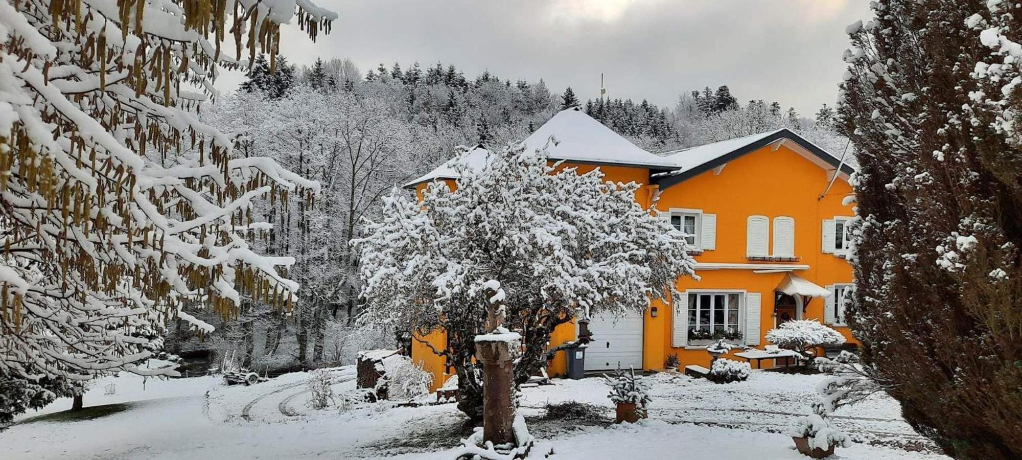 Gite Forestier Du Moulin Raon-sur-Plaine Esterno foto