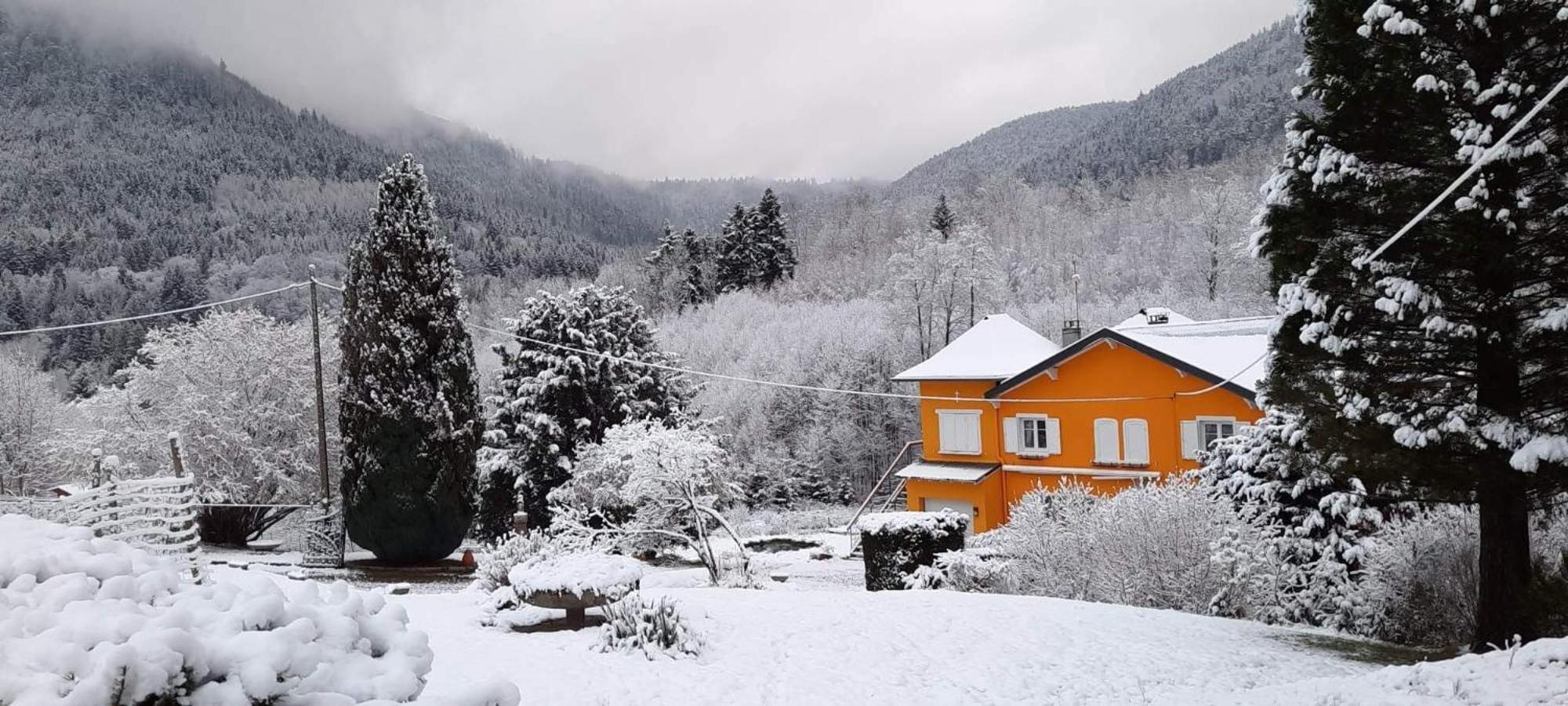 Gite Forestier Du Moulin Raon-sur-Plaine Esterno foto