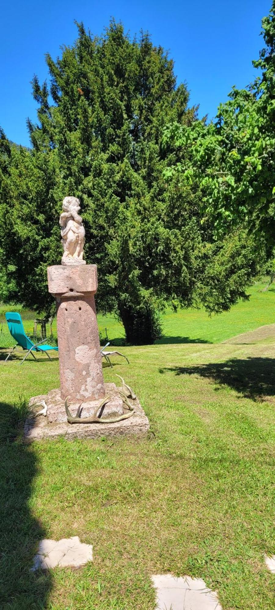 Gite Forestier Du Moulin Raon-sur-Plaine Esterno foto