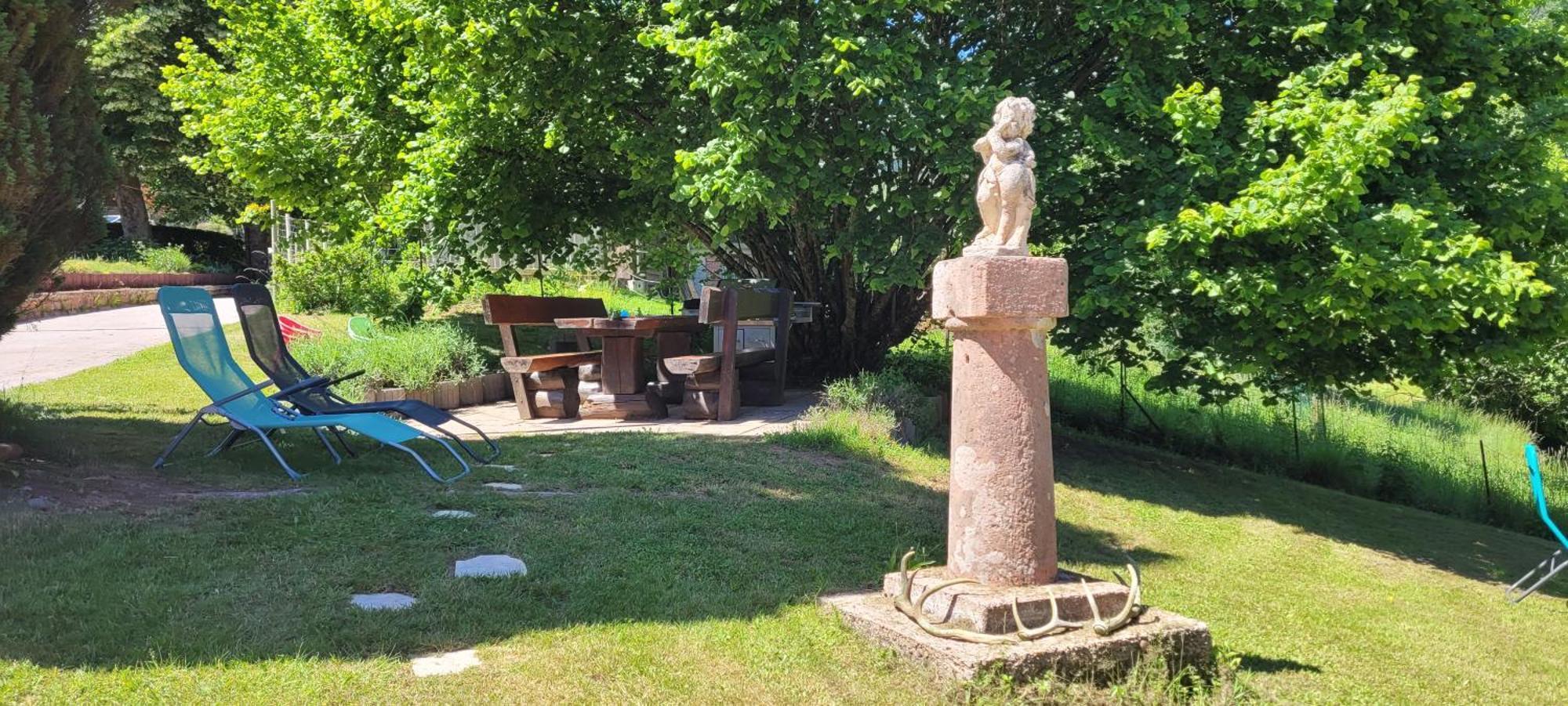 Gite Forestier Du Moulin Raon-sur-Plaine Esterno foto
